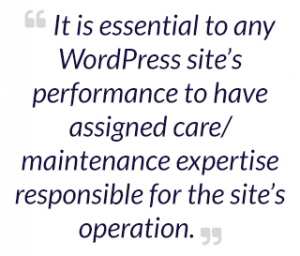 It is essential to any WordPress site’s performance to have assigned care/maintenance expertise responsible for the site’s operation. 